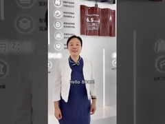 Flexibel fotovoltaïsch paneel